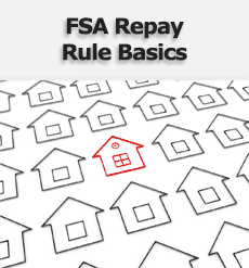 fsa-repay-rule