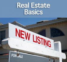 real-estate-basics